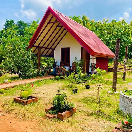 Sigiri Enaya Cottage Sigiriya Dış mekan fotoğraf