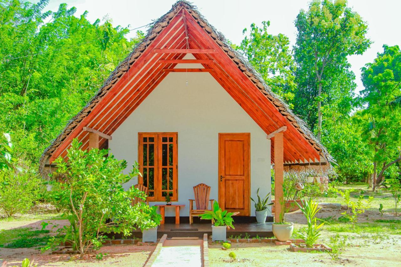 Sigiri Enaya Cottage Sigiriya Dış mekan fotoğraf