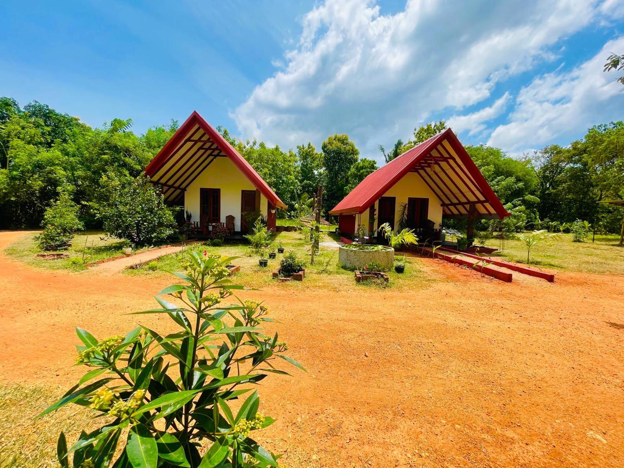 Sigiri Enaya Cottage Sigiriya Dış mekan fotoğraf