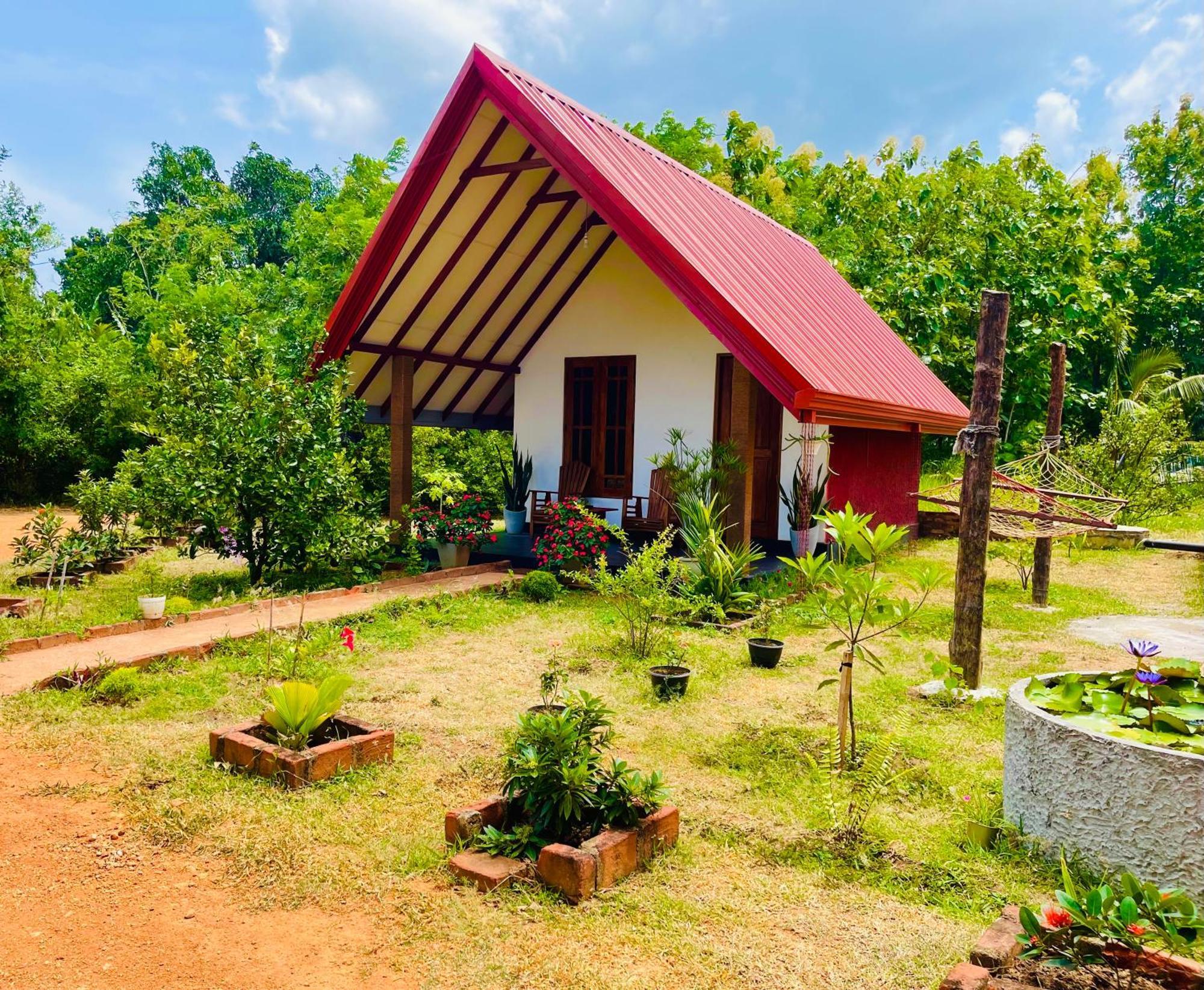 Sigiri Enaya Cottage Sigiriya Dış mekan fotoğraf
