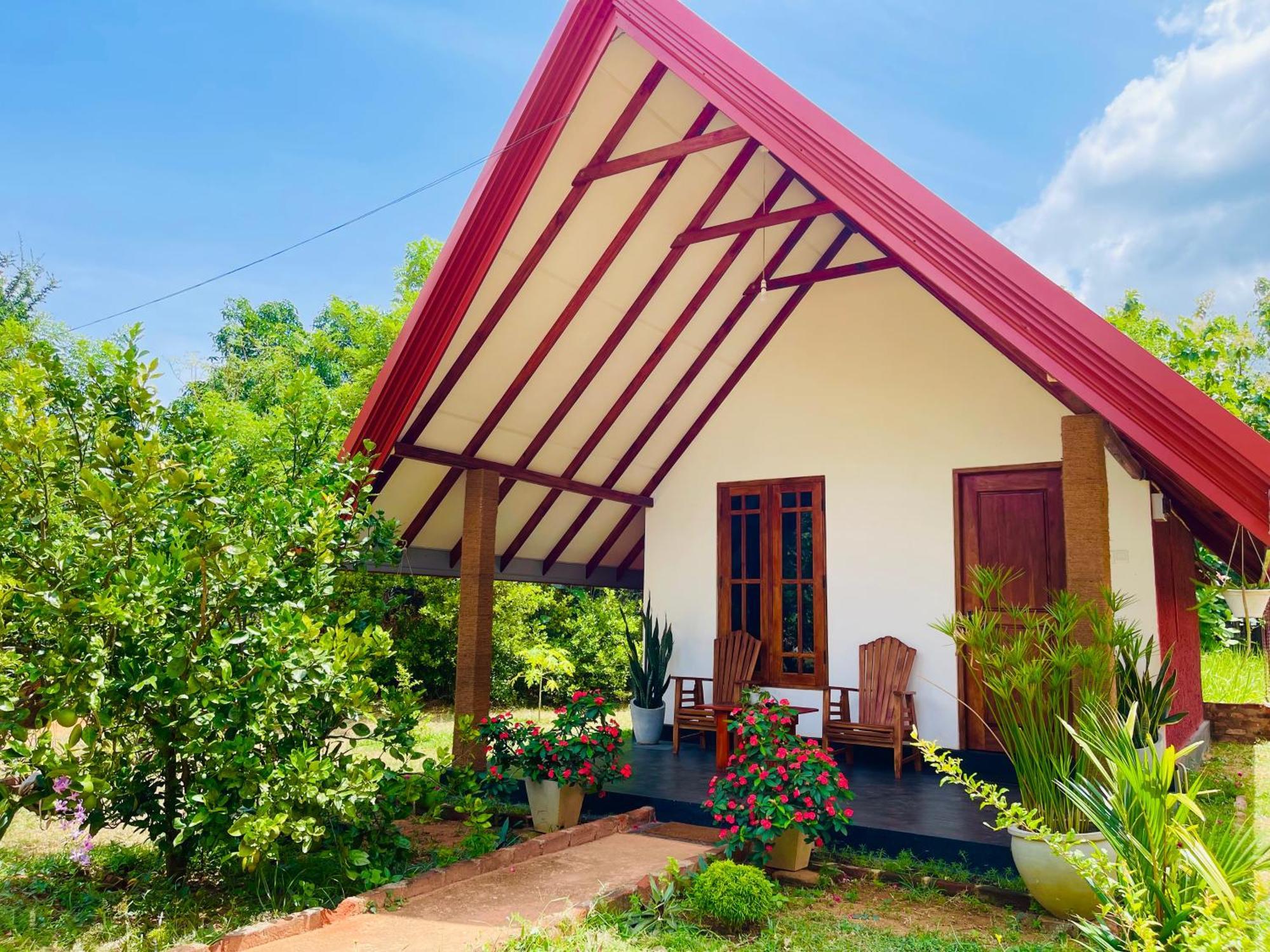 Sigiri Enaya Cottage Sigiriya Dış mekan fotoğraf